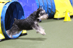 Finnegan-2