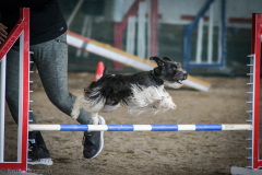 Miles-Agility-Sept-2020-3